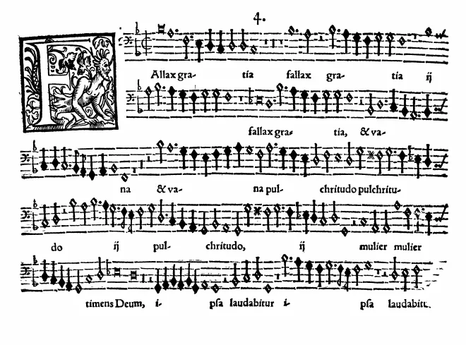 Bassus