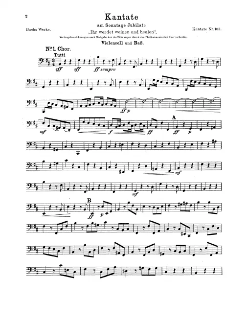 Cellos/Basses
