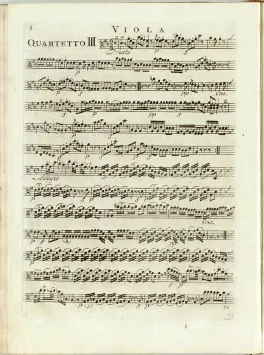 Viola