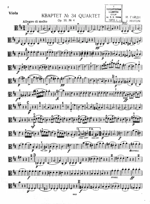 Viola