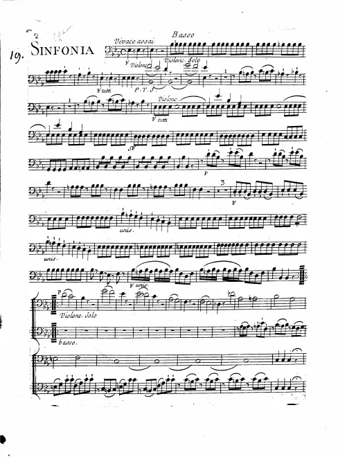Cellos/Basses