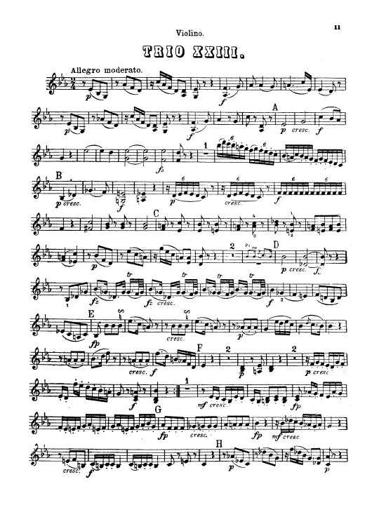 Violin
