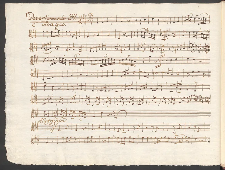 Viola
