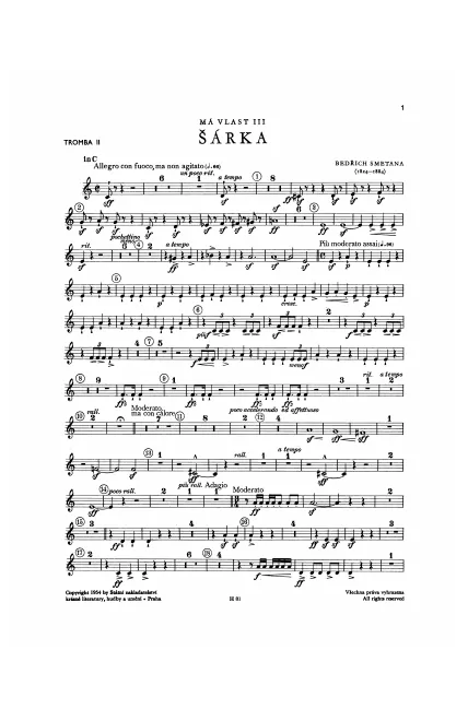 Trumpet 2 (C)