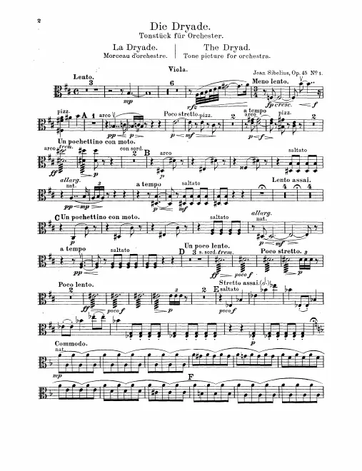Violas