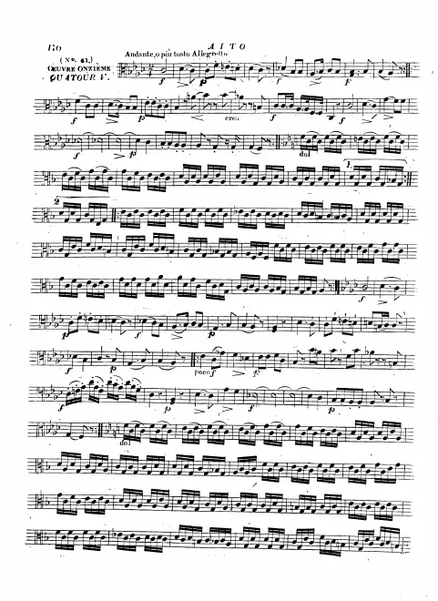 Viola