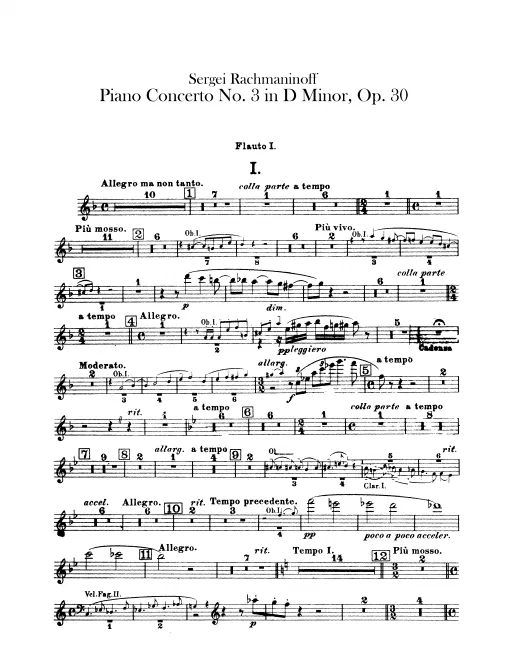 Flute 1