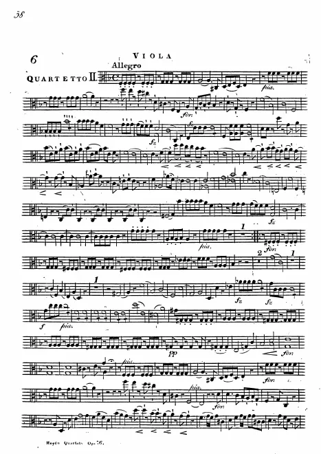 Viola