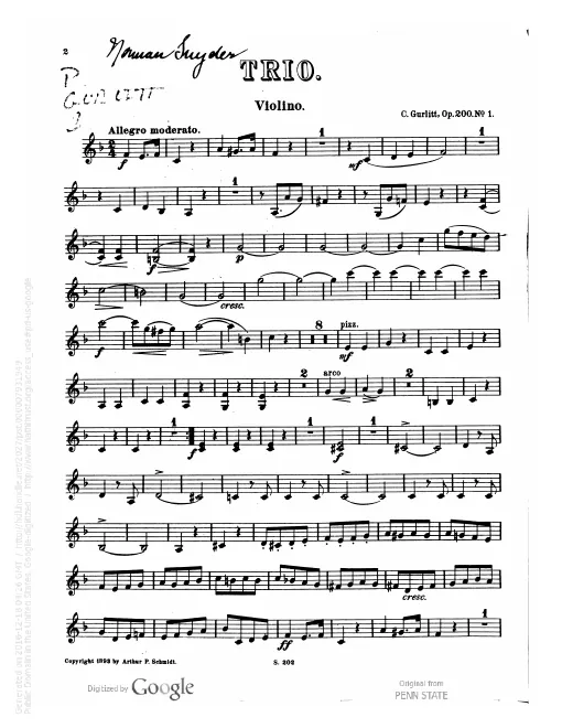 Violin