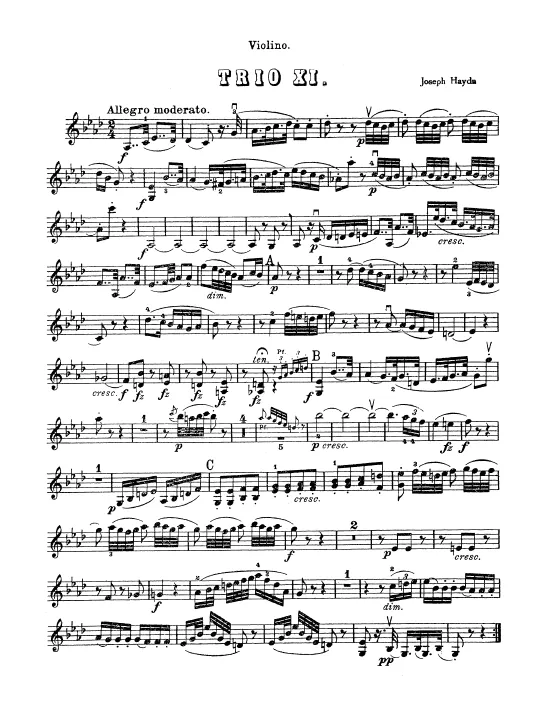 Violin
