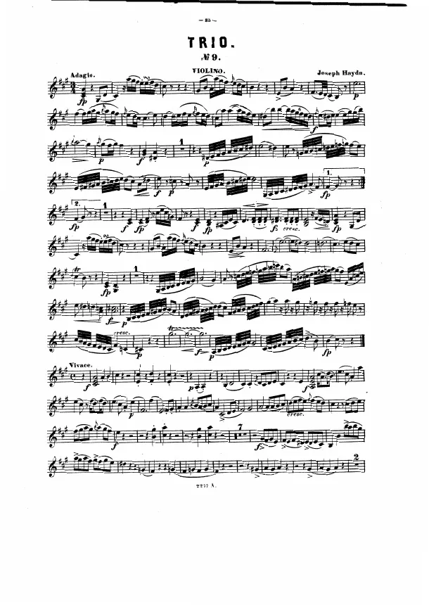 Violin