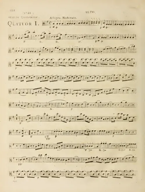Viola