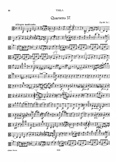 Viola