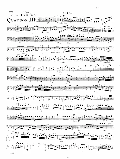 Viola