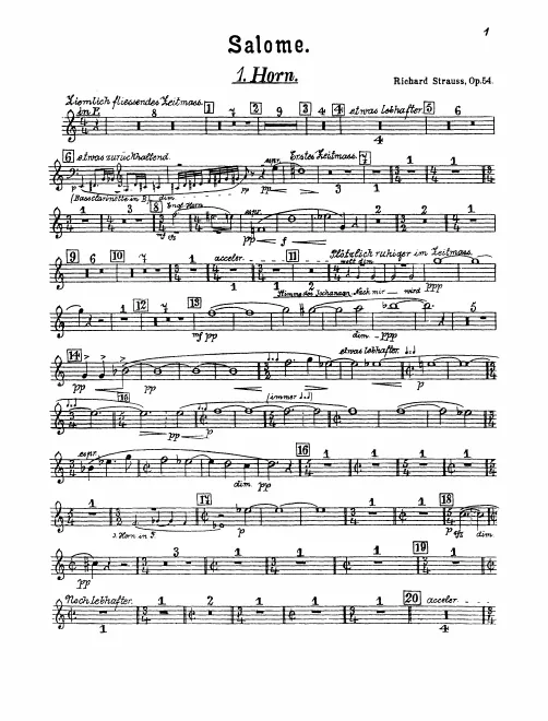 Horn 1