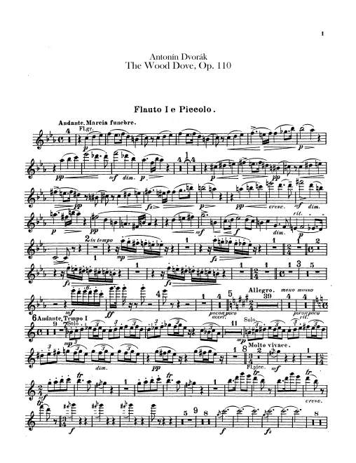 Flute 1/Piccolo, 2