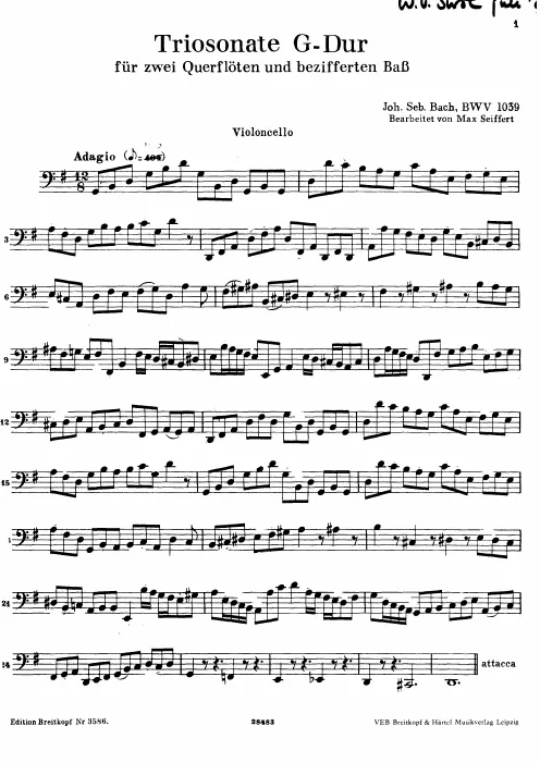 Continuo (Cello)