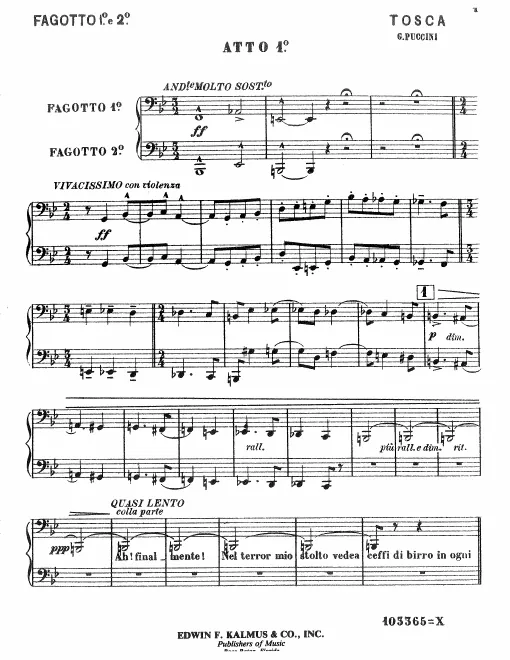 Bassoon 1/2