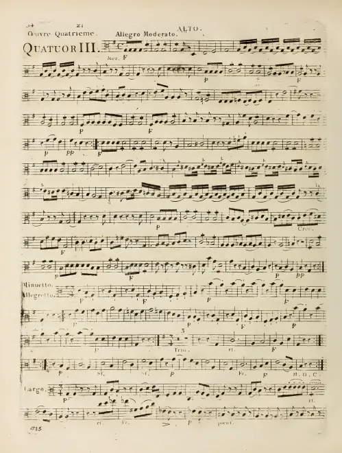 Viola