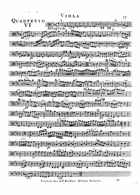 Viola