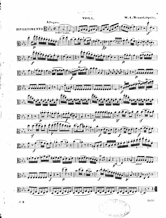 Viola