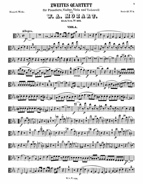 Viola