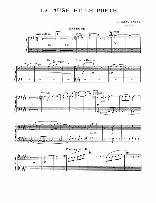 Bassoon 1/2