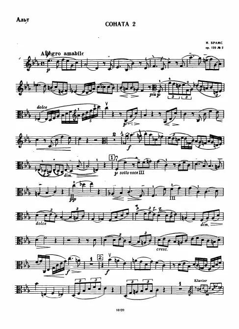 Viola
