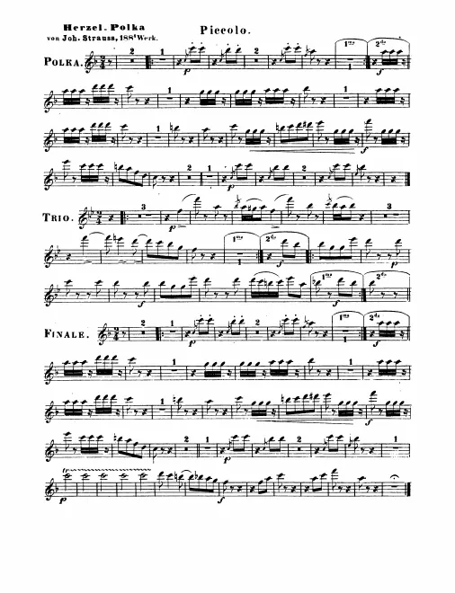 Piccolo, Flute