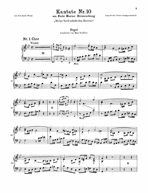 Organ