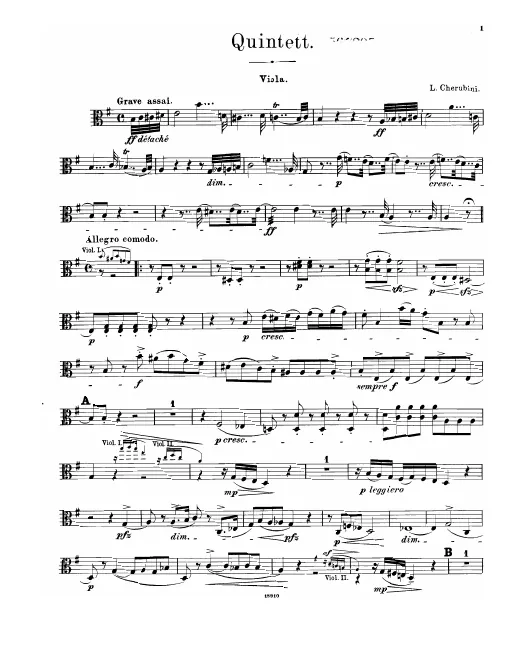 Viola