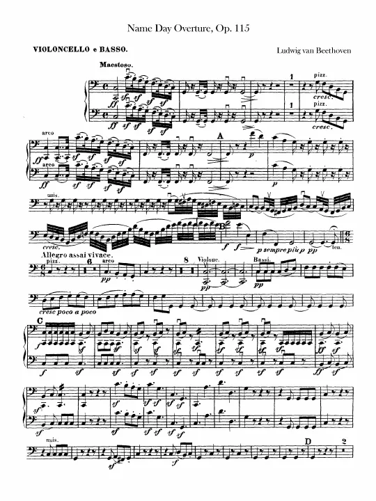 Cellos / Basses