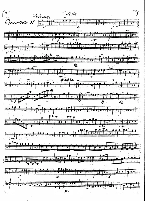 Viola