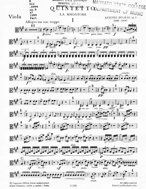 Viola