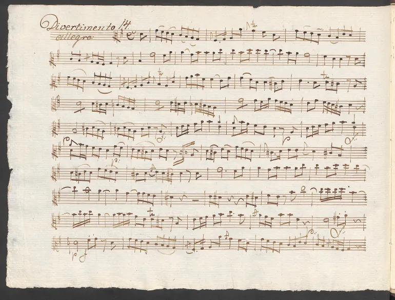Viola