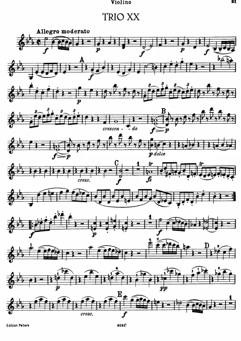 Violin
