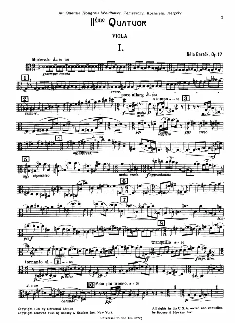 Viola