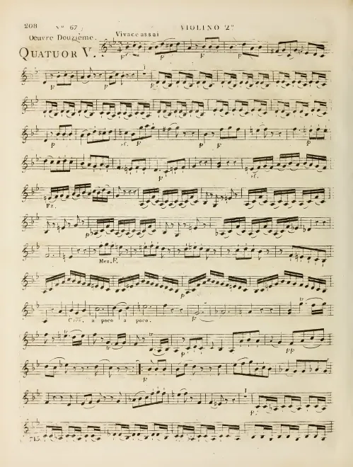 Violin 2