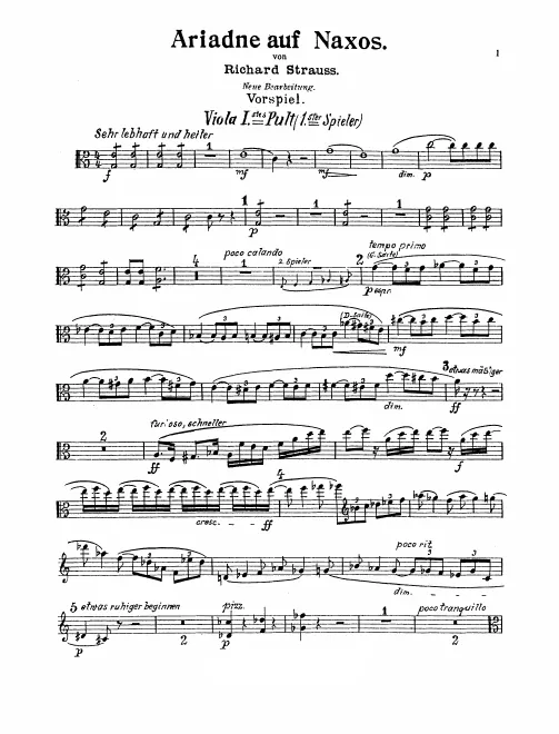 Viola 1 (Player 1)