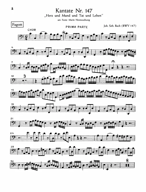 Bassoon
