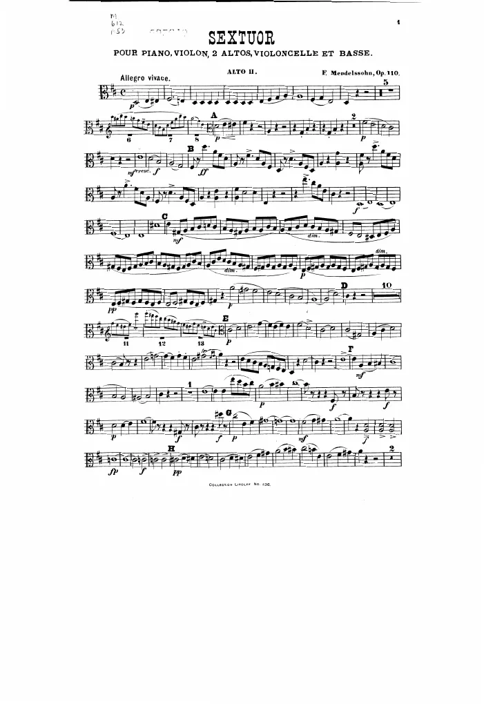 Viola 2