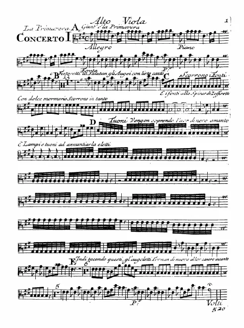 Violas