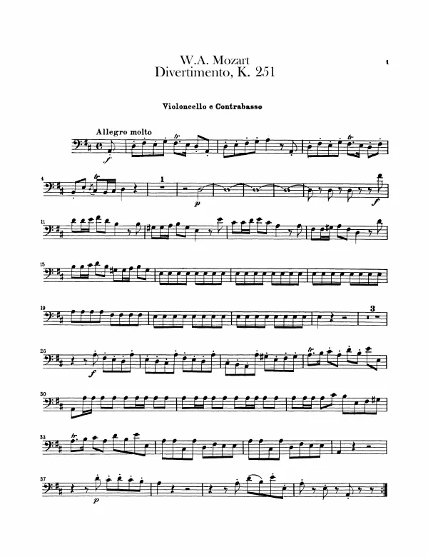 Cello/Double Bass