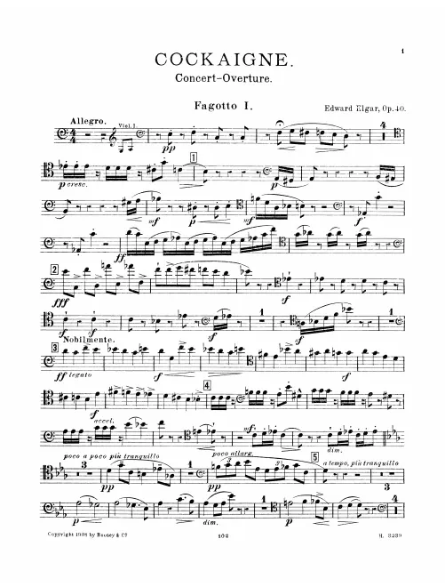 Bassoon 1