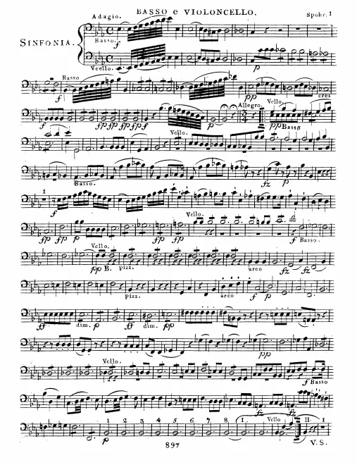 Cellos/Basses