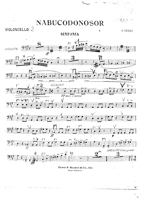 Cellos