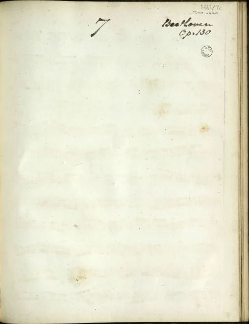 Viola