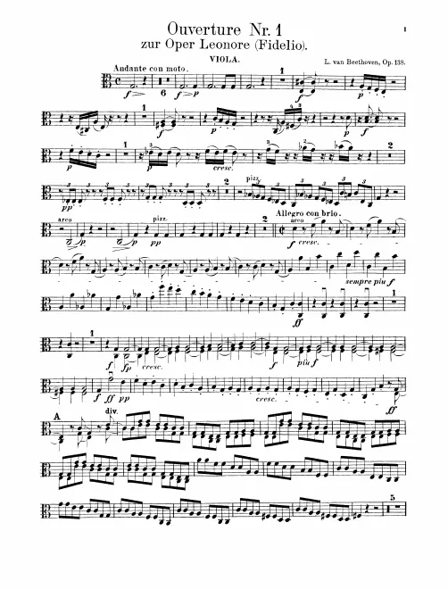 Violas