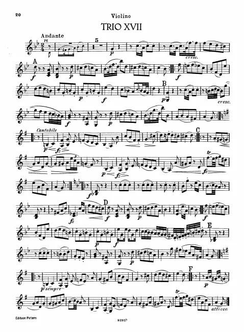 Violin