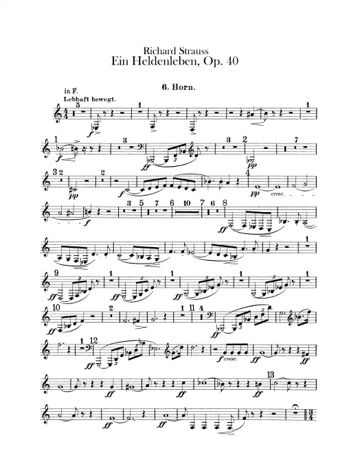Horn 6 (F/E)